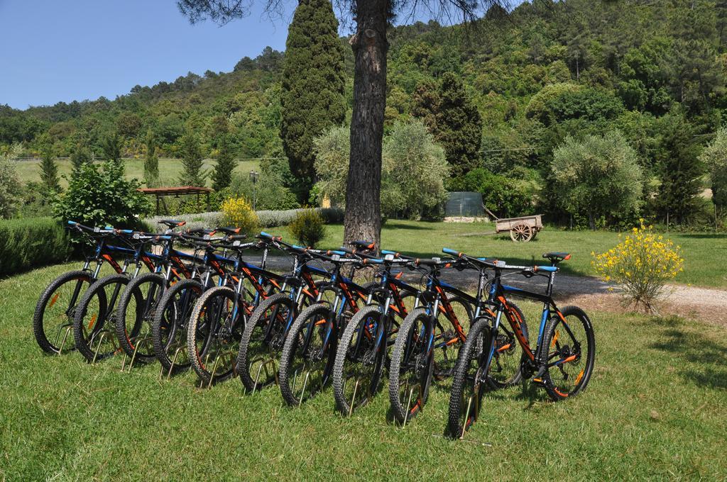 Agriturismo Eco-Bio Belmonte Vacanze Монтайоне Екстер'єр фото