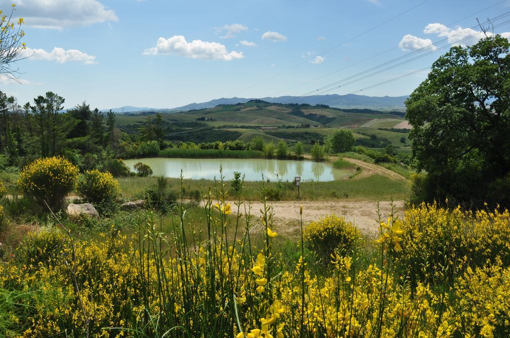 Agriturismo Eco-Bio Belmonte Vacanze Монтайоне Екстер'єр фото