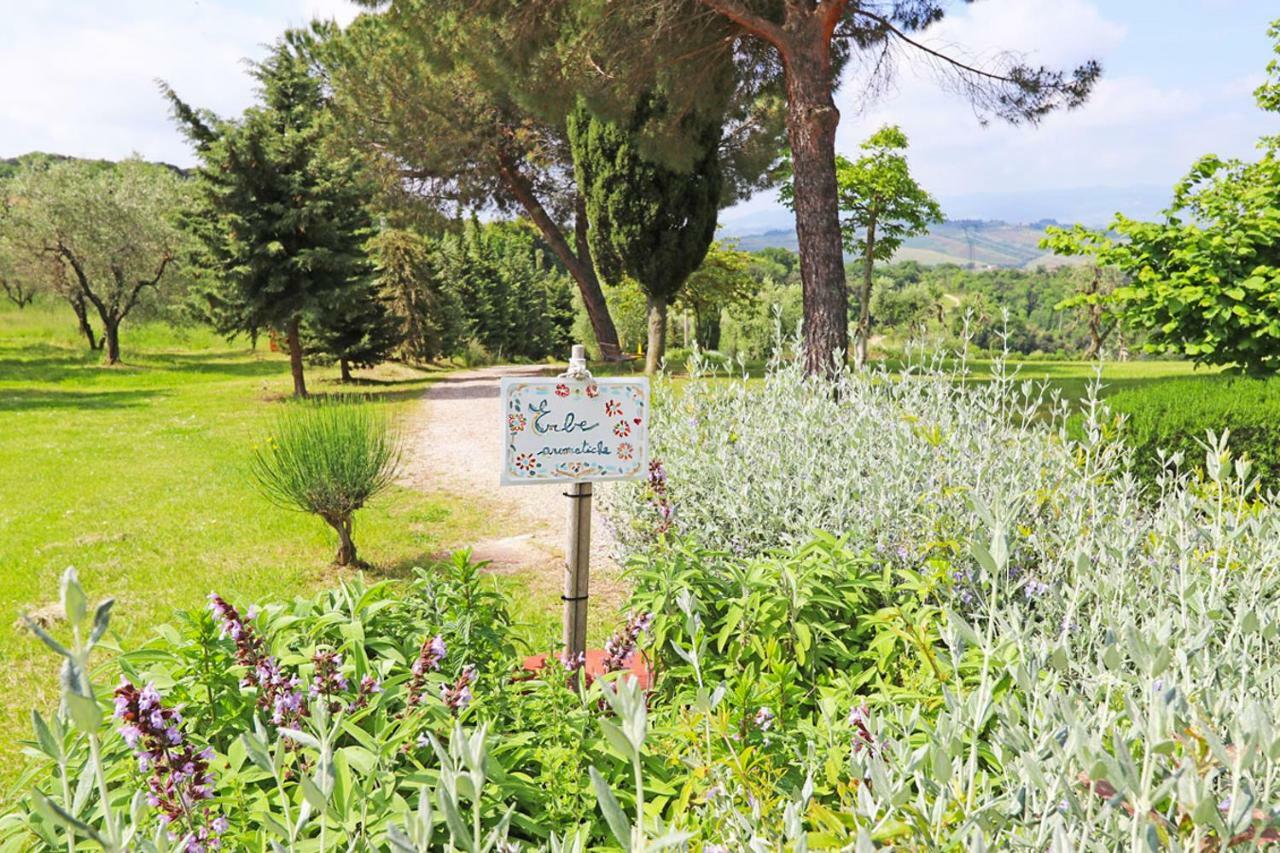 Agriturismo Eco-Bio Belmonte Vacanze Монтайоне Екстер'єр фото