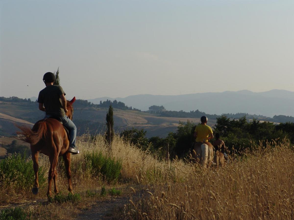 Agriturismo Eco-Bio Belmonte Vacanze Монтайоне Екстер'єр фото